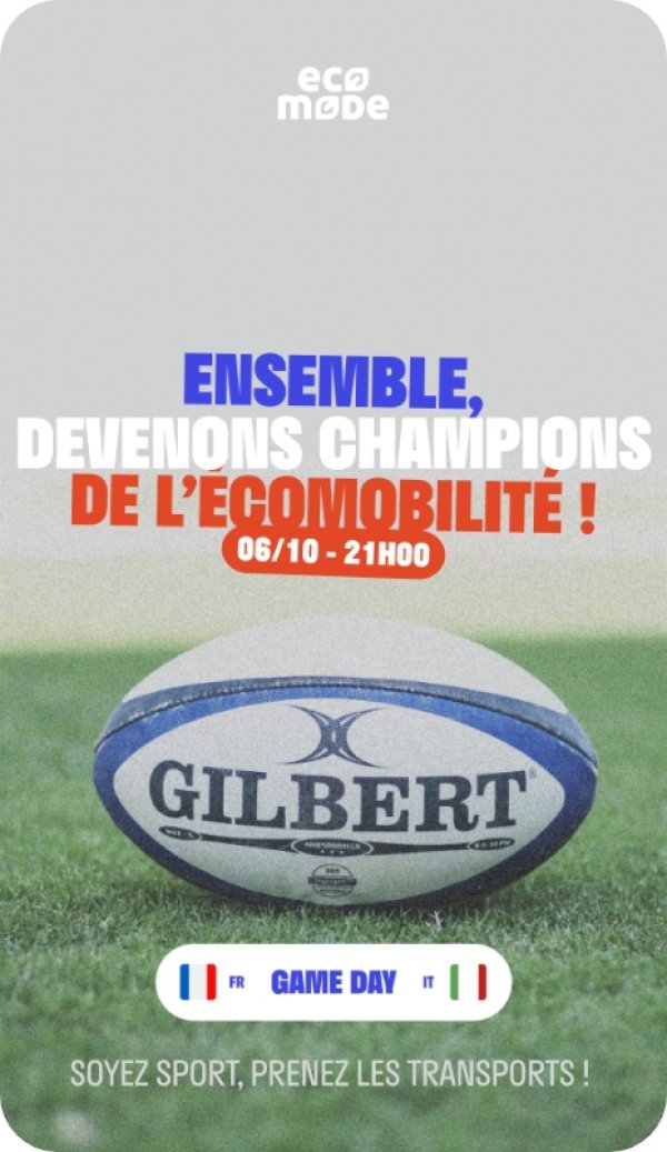 Illustration du projet Coupe du Monde de Rugby